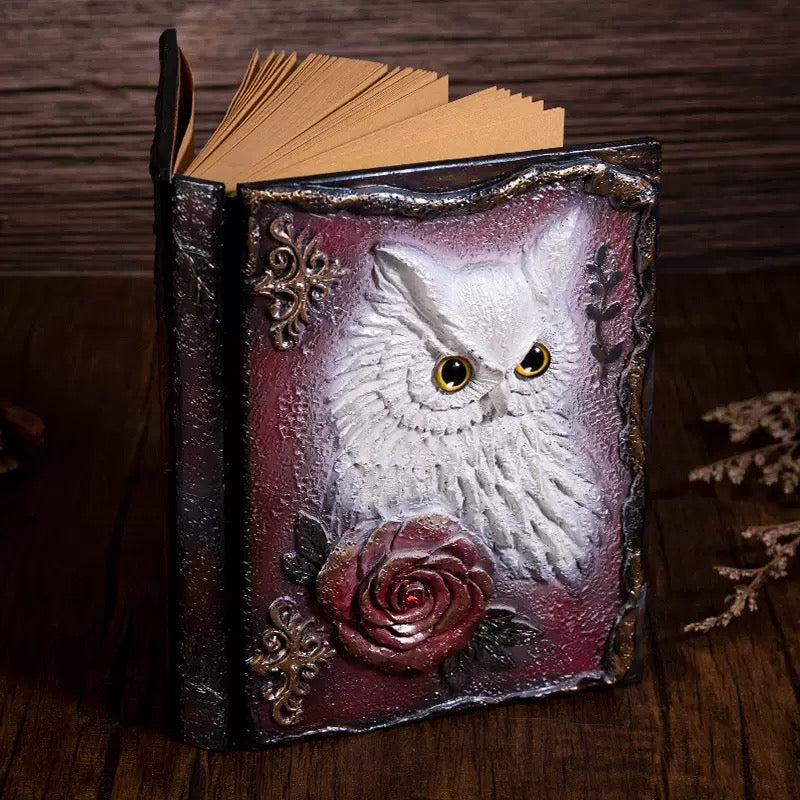 The Nocturnal Owl Writing Ritual 🦉